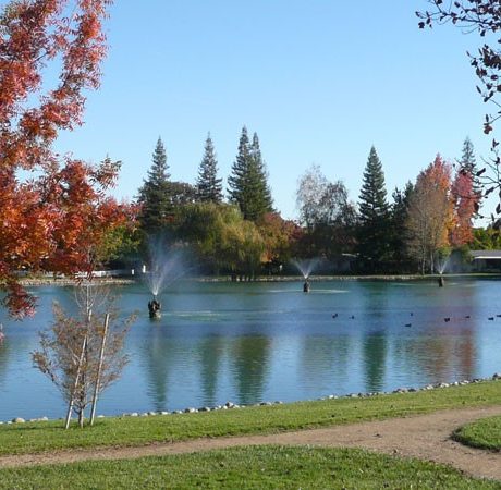 Peaceful lakeside views framed by oak trees and garden paths, highlighting the natural beauty of Lakeview Village in Citrus Heights, CA.